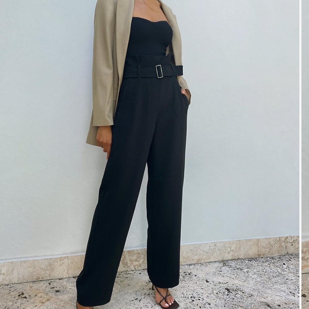 Aritzia Babaton power pant paper bag wide leg